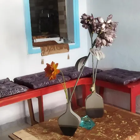 Cat House Apartment