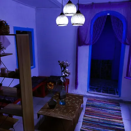 Cat House *