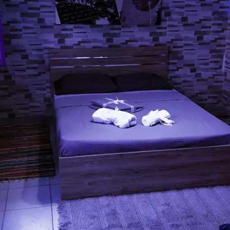 Cat House Apartment